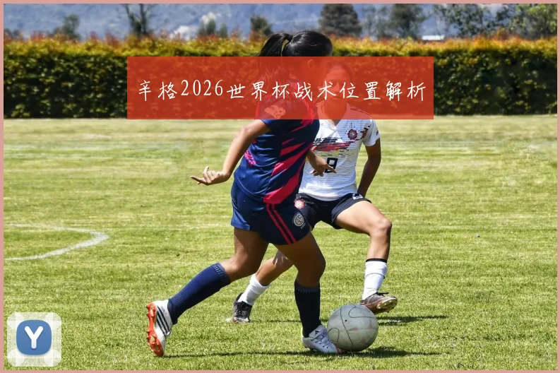 辛格2026世界杯战术位置解析