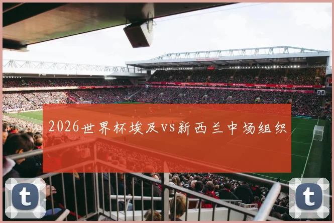 2026世界杯埃及vs新西兰中场组织