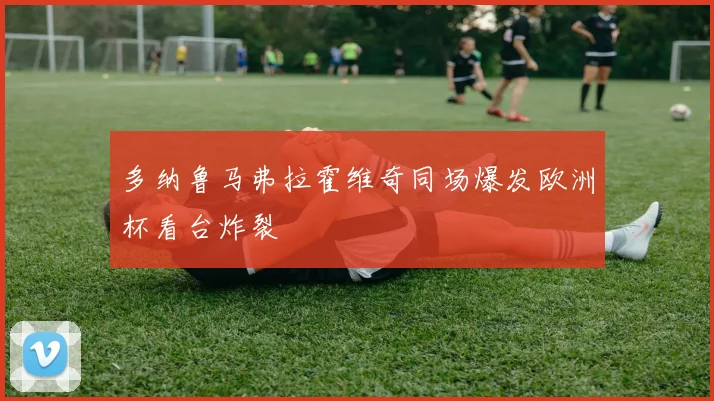多纳鲁马弗拉霍维奇同场爆发欧洲杯看台炸裂