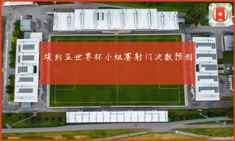 埃利亚世界杯小组赛射门次数预测