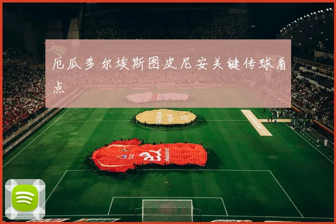 厄瓜多尔埃斯图皮尼安关键传球看点
