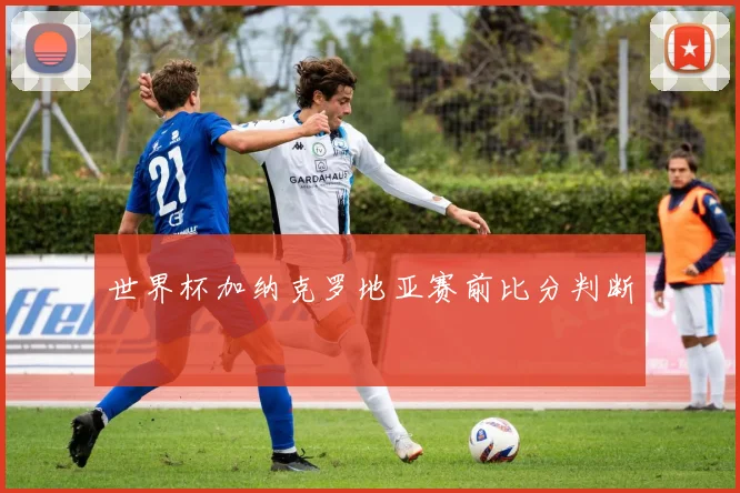 世界杯加纳克罗地亚赛前比分判断