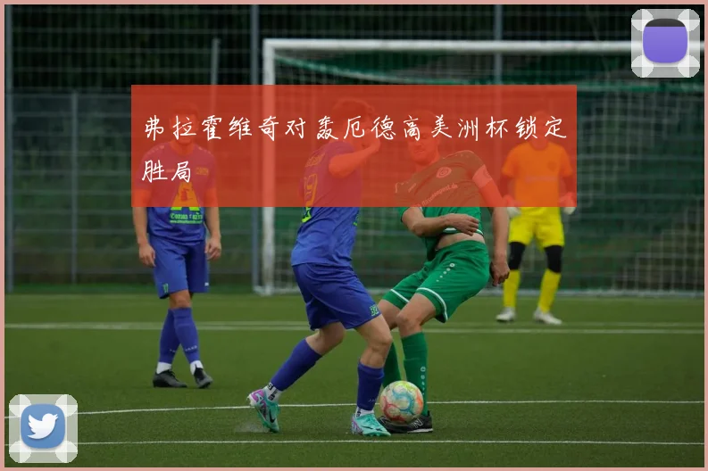 弗拉霍维奇对轰厄德高美洲杯锁定胜局