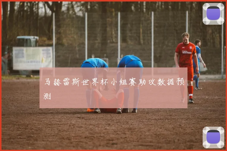 马赫雷斯世界杯小组赛助攻数据预测