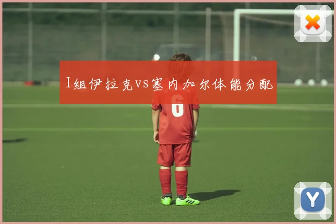 I组伊拉克vs塞内加尔体能分配