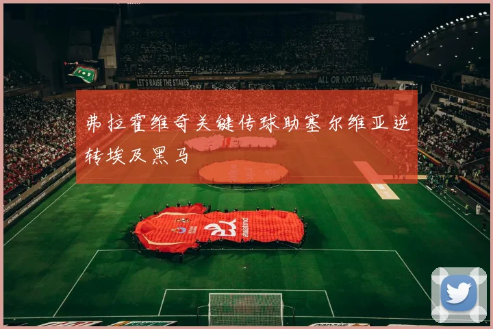 弗拉霍维奇关键传球助塞尔维亚逆转埃及黑马