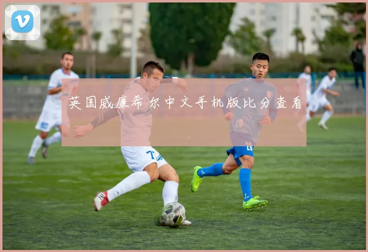 英国威廉希尔中文手机版比分查看