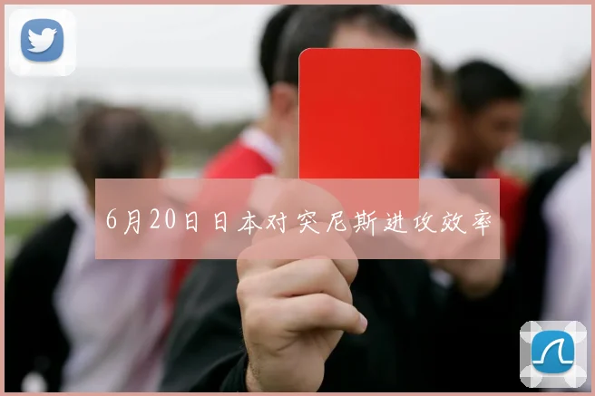 6月20日日本对突尼斯进攻效率