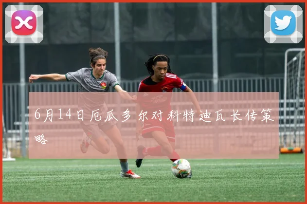 6月14日厄瓜多尔对科特迪瓦长传策略